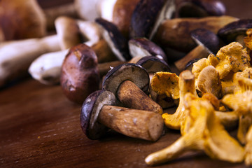 Fresh mushrooms