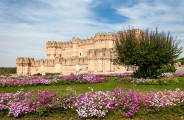 Obraz premium Coca Castle