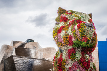 Floral dog in Bilbao