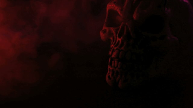 scarry skull on black with a smoke