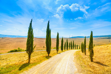 Obrazy  Toskania, cyprysy, biała droga, wiejski krajobraz, Włochy, Europa