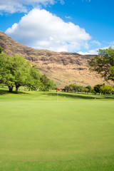 Fototapeta na wymiar Golf green with red flag