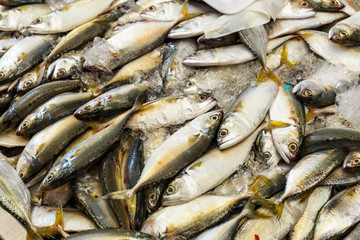 Freshness fish in the market stall