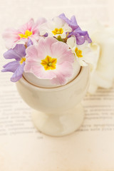spring flowers