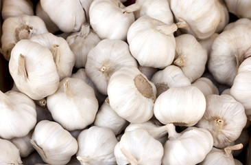 Close up of garlic on market stand