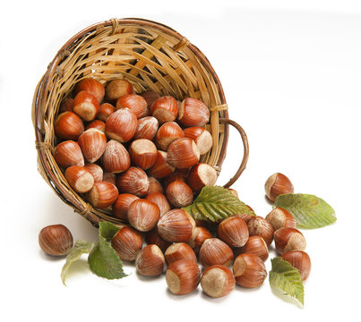 frutta secca