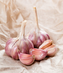 Fragrant garlic on a crumpled wrapping paper