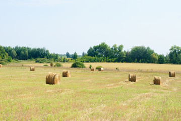 A farm field in the countryside filled with  hay bales