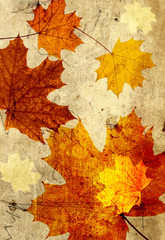 Naklejka na ściany i meble Grunge background with autumn leaves