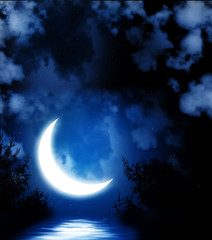 Obraz na płótnie Canvas Bright moon reflected in water