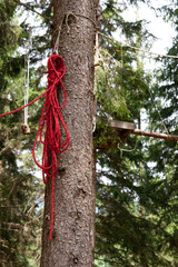 Fototapeta premium Arrampicata