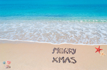 merry sandy Xmas