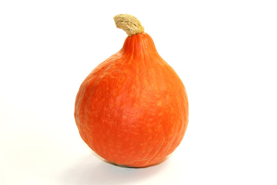 potimarron
