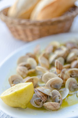 Vongole lupini