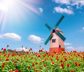 Globe amaranth flower and windmill and blue sky background