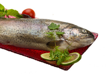 Fresh raw rainbow trout