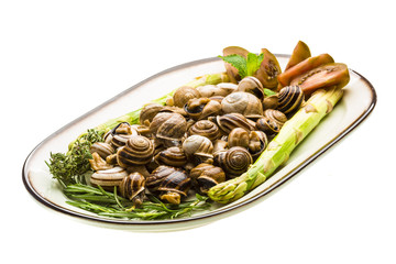 Escargot with asparagus, rosemary, thymus and tomato