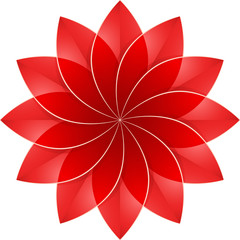 Fototapeta premium Red Flower