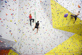 People involved in climbing in a climbing gym
