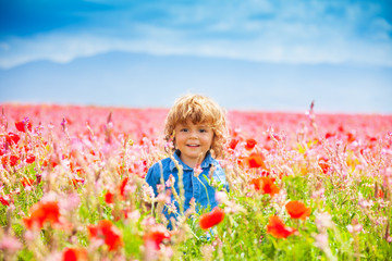 Smiling little boy in poppy field