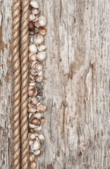 Rope, sea shells and wood background