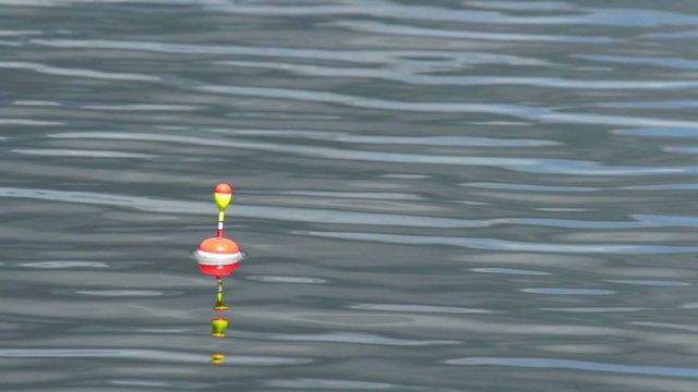 bobber fishing