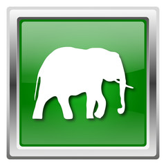 Elephant icon