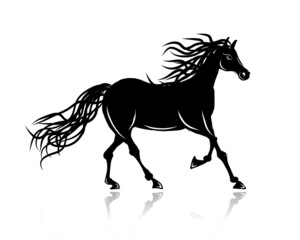 Obraz na płótnie Canvas Horse silhouette for your design