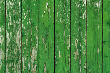 Fototapeta na wymiar zielony drewniana ściana, tło