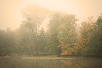 Moody autumn morning in a forest park with a calm pond water - 56794553