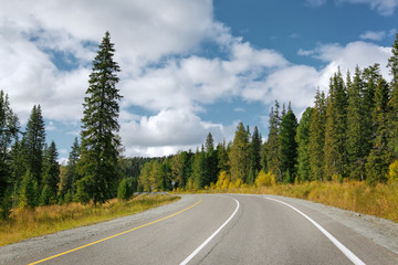 Naklejka premium country road