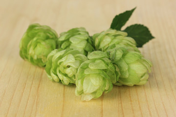 Fresh green hops, on wooden background