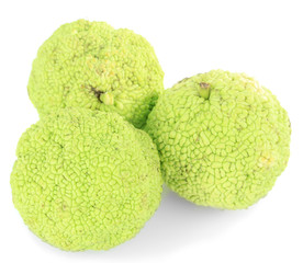 Osage Orange fruits (Maclura pomifera), isolated on white