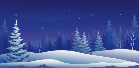 Winter night panoramic