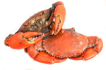 Boiled crab ready to eat