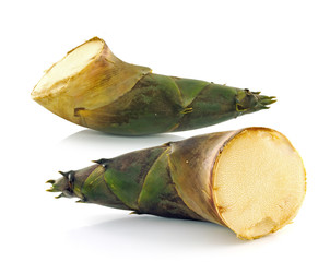 Bamboo shoot on white background