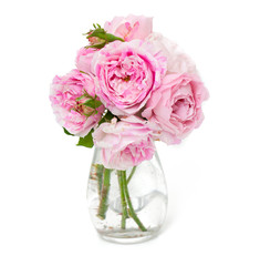 bunch of pink striped roses isolated on white