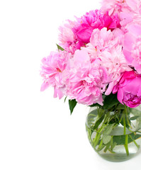 peonies in a glass vase