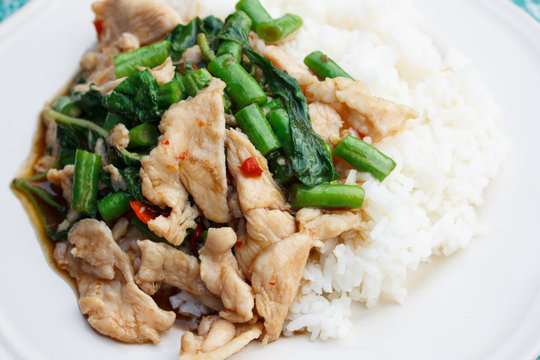 stir fried chicken in holy basil with yardlong bean
