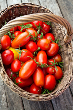 basket with fresh tomatoes