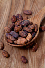 cocoa beans