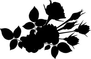 Papier Peint photo Fleurs noir et blanc bouquet de roses silhouette sur fond blanc