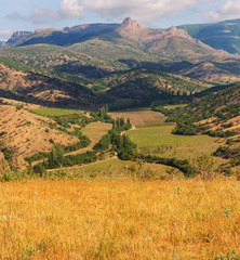 Fields in Crimea