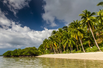 Tropical paradise - remote beach with palms - Port Barton