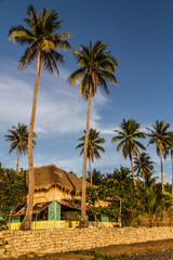 View of sea, coastline,cottage,palm trees - Philippines