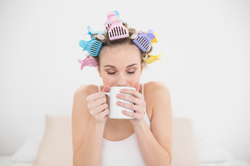 Peaceful natural brown haired woman in hair curlers enjoying cof
