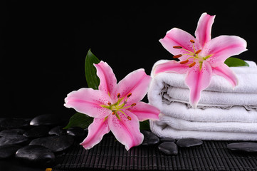 Fototapeta na wymiar Lily pink flower on towel on pebbles