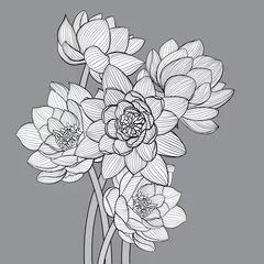 Photo sur Plexiglas Fleurs noir et blanc Fond floral