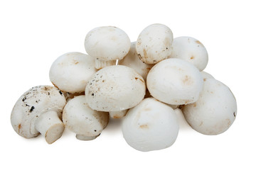 Champignons