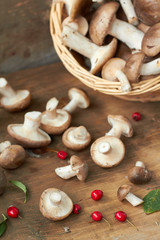 Fototapeta na wymiar Wicker basket full of mushrooms